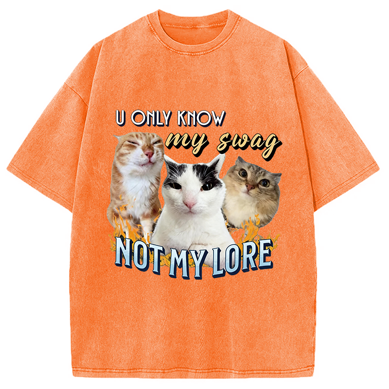 Modecanvas Funny Y2K Cat Meme DTG Printing Washed T-Shirt
