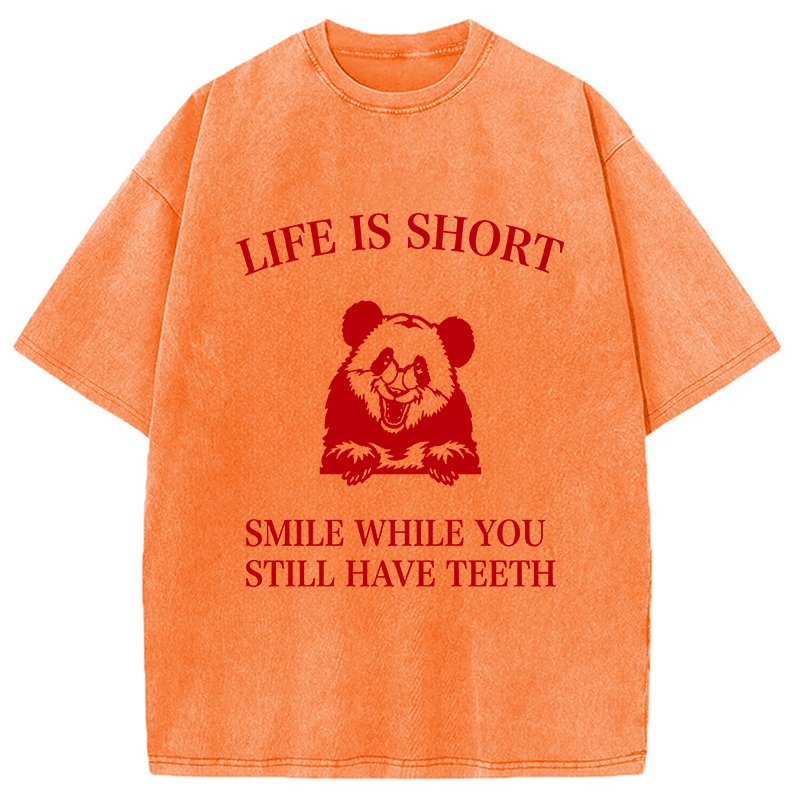 Modecanvas Funny Panda Ironic DTG Printing Washed T-Shirt