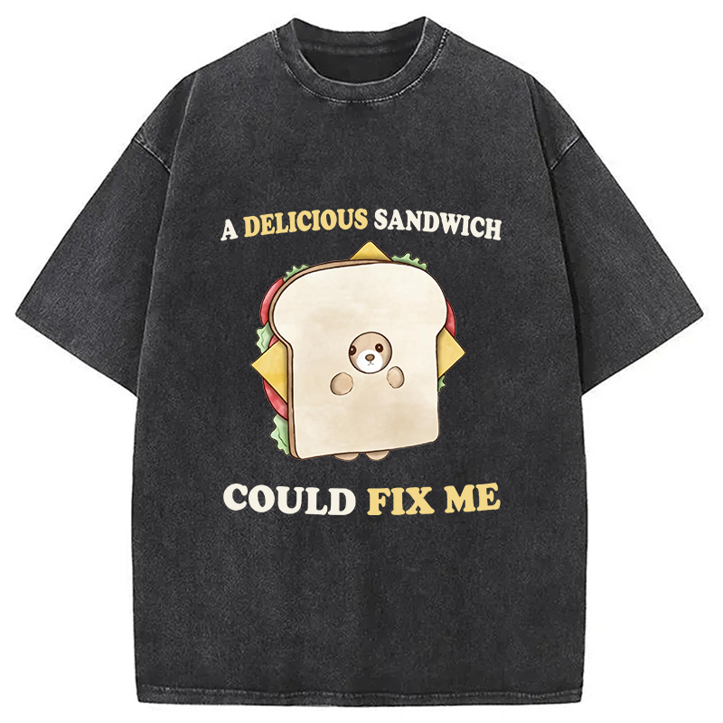 Modecanvas Delicious Sandwich Could Fix Me DTG Printing Washed T-Shirt