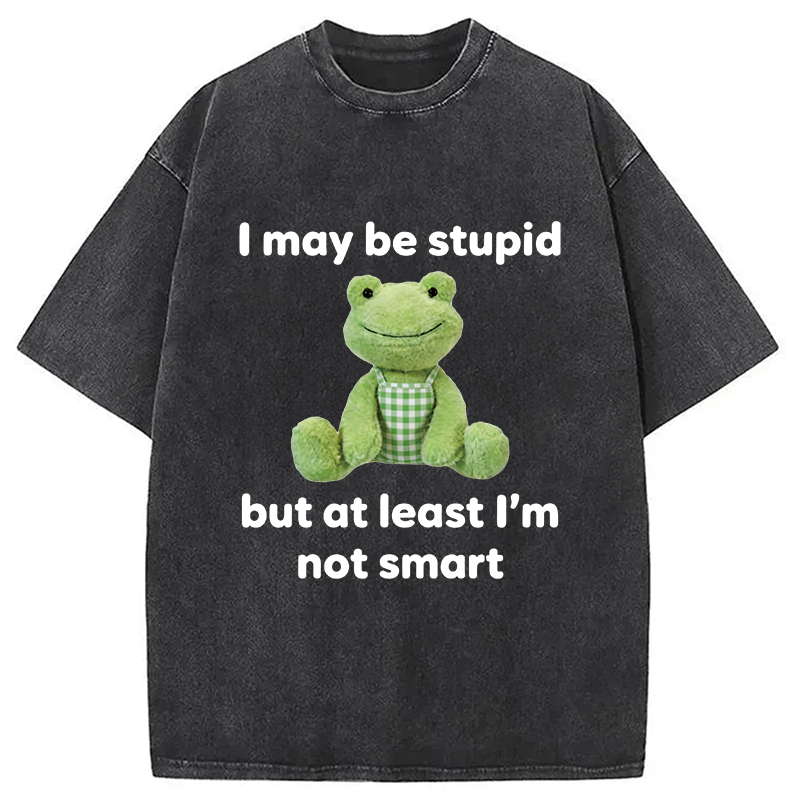 Modecanvas I May Be Stupid Alcohol Lover DTG Printing Washed T-Shirt