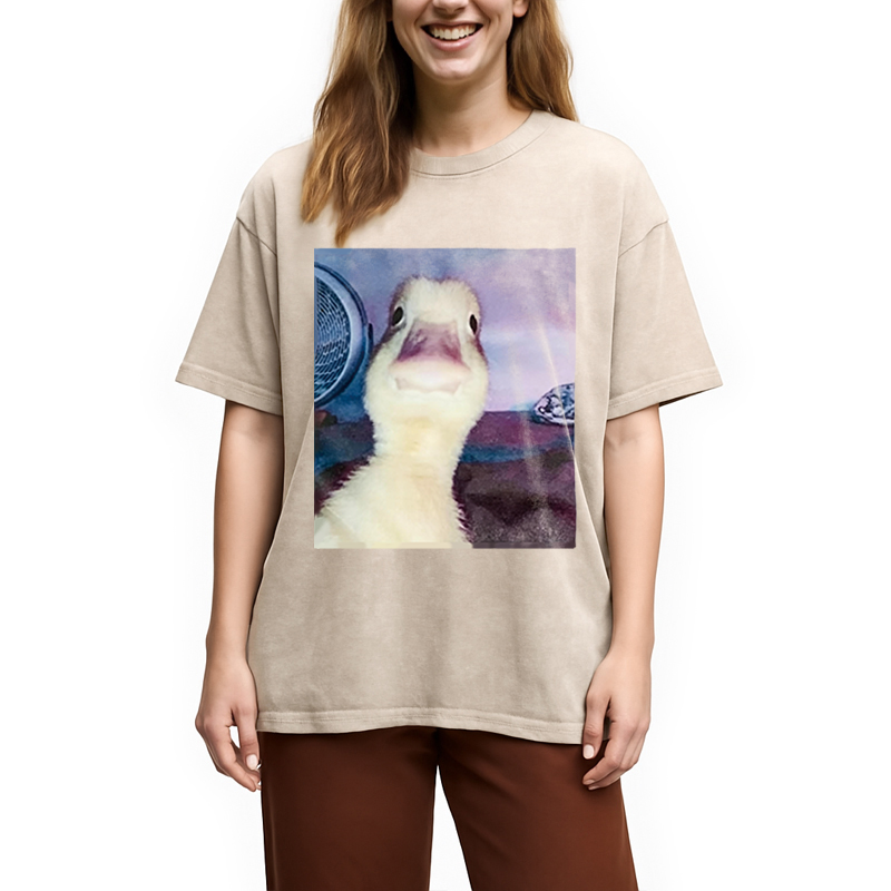 Modecanvas Duck Stare Funny Meme DTG Printing Washed T-Shirt
