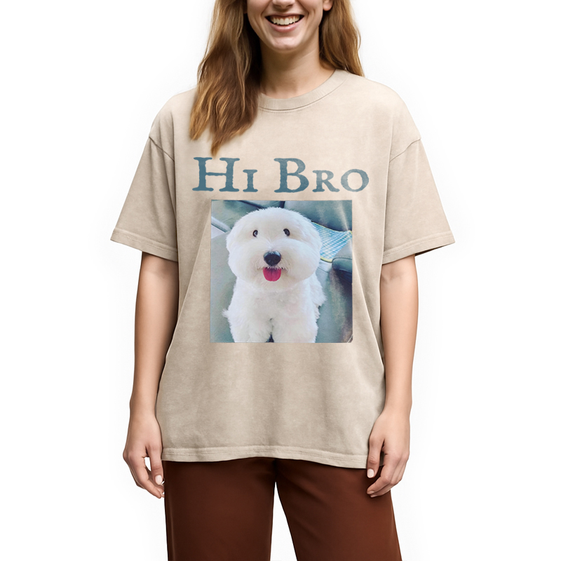 Modecanvas Hi Bro Dog Meme DTG Printing Washed T-Shirt