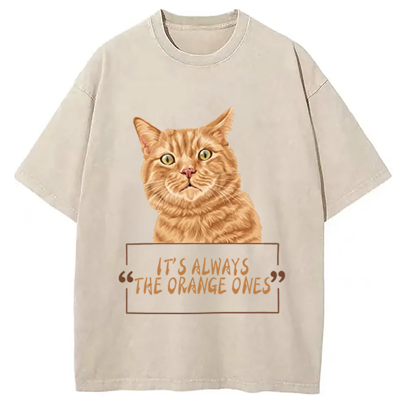 Modecanvas It Always Cat Meme DTG Printing Washed T-Shirt