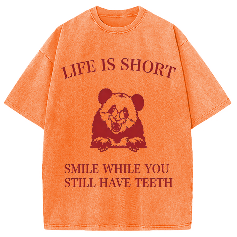 Modecanvas Funny Panda Meme DTG Printing Washed T-Shirt