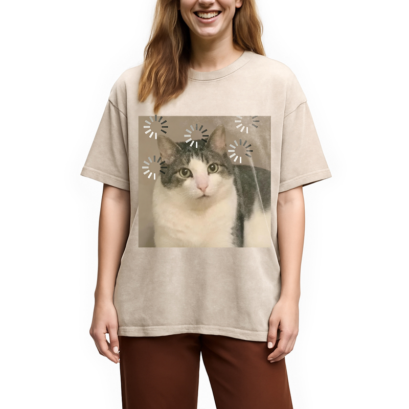Modecanvas Cat Reload The Brain DTG Printing Washed T-Shirt