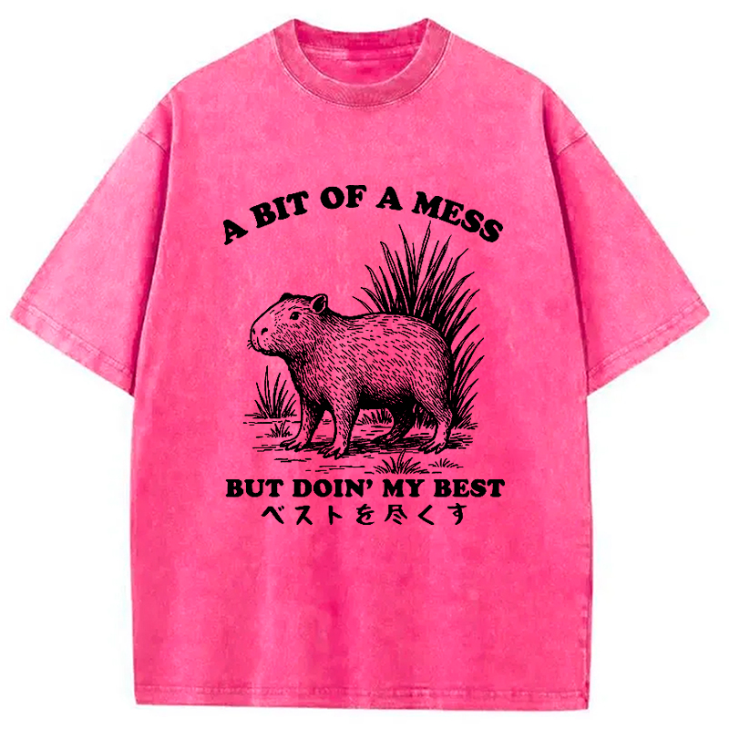 Modecanvas Capybara Doing Its Best Washed T-Shirt