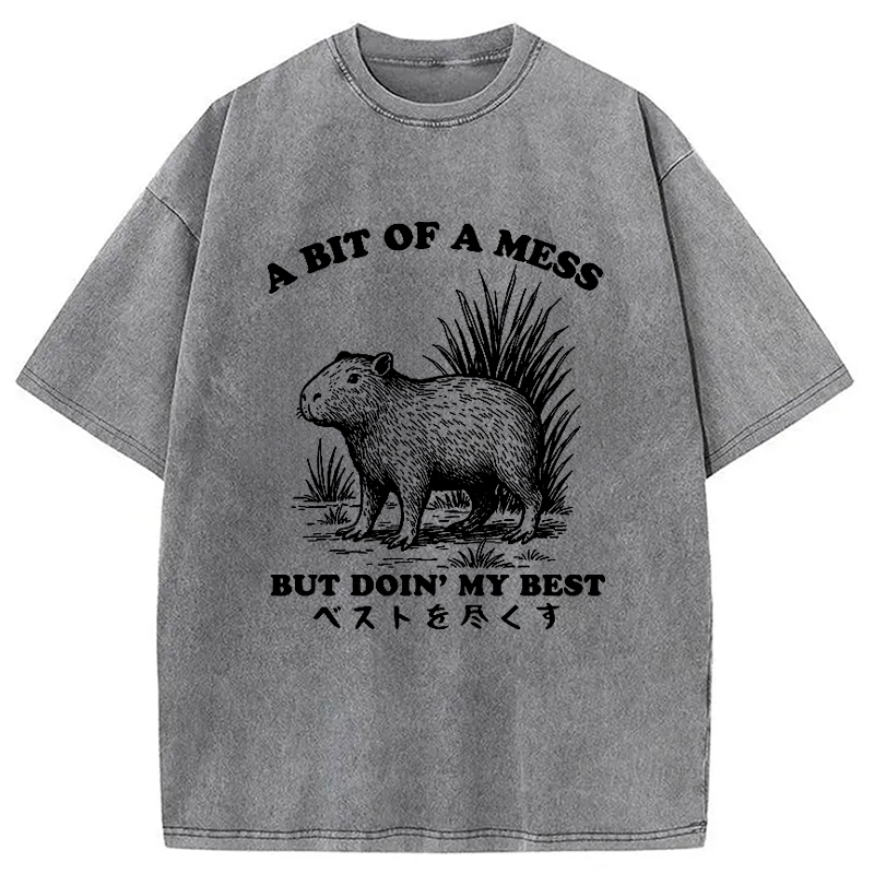 Modecanvas Capybara Doing Its Best Washed T-Shirt