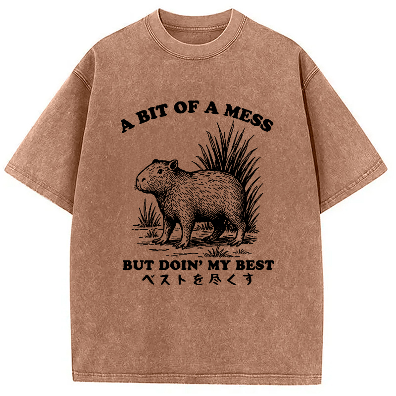 Modecanvas Capybara Doing Its Best Washed T-Shirt
