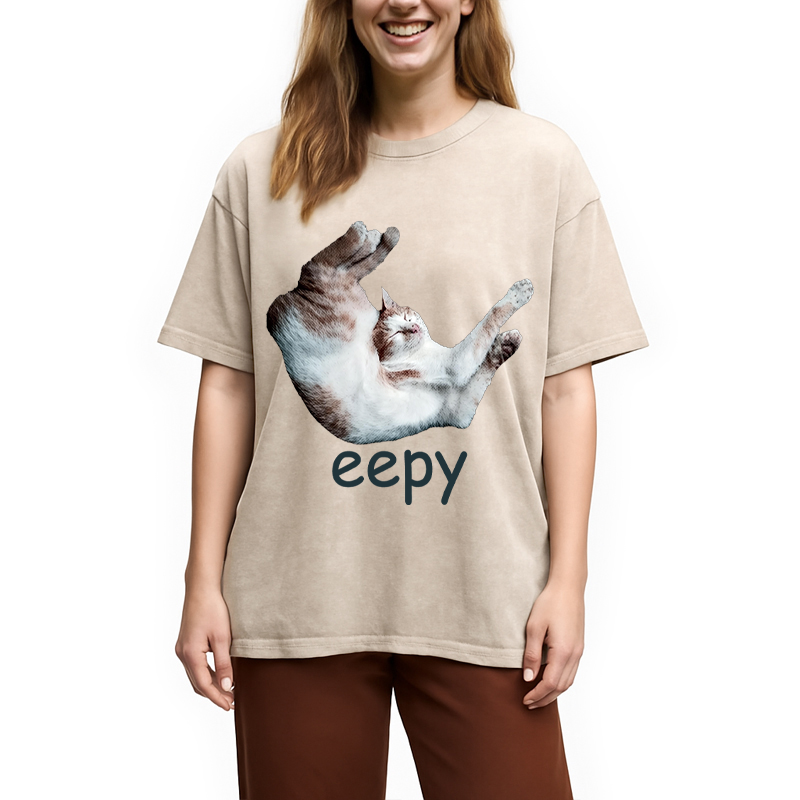 Modecanvas Silly Sleepy Cat Meme DTG Printing Washed T-Shirt