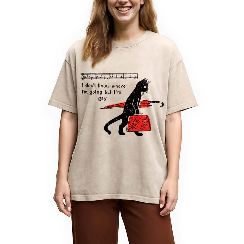 Modecanvas Funky Gay Pride Meme DTG Printing Washed T-Shirt
