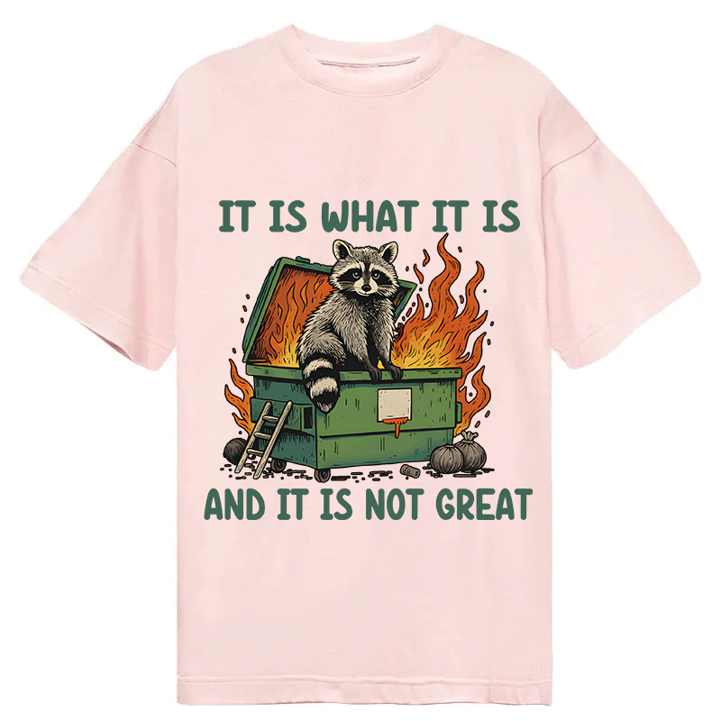 Modecanvas It Is What It Is Dumpster Fire Funny Raccoon Meme DTG Printing Classic T-Shirt-modecanvas