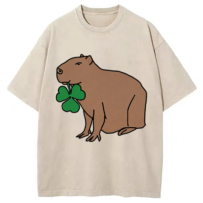 Modecanvas Cute Capybara with Shamrock DTG Printing Washed T-Shirt