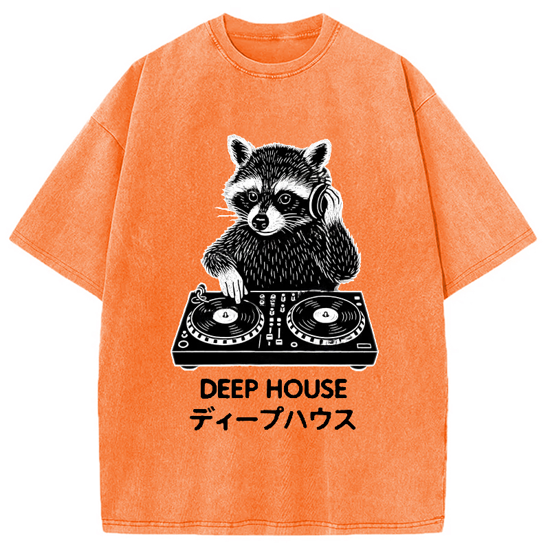 Modecanvas DJ Raccoon Washed T-Shirt