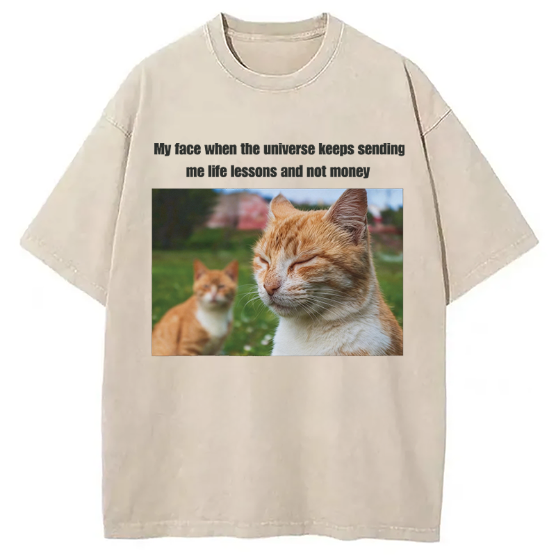 Modecanvas Grumpy Cat Meme DTG Printing Washed T-Shirt
