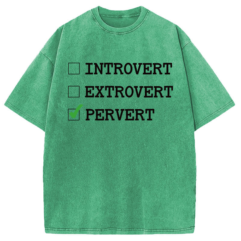 Modecanvas Introvert Extrovert Pervert DTG Printing Washed T-Shirt