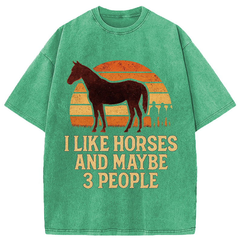 Modecanvas I Like Horse And Maybe 3 People DTG Printing Washed T-Shirt