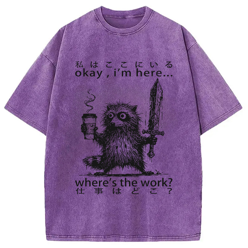 Modecanvas Raccoon Ready To Work Washed T-Shirt