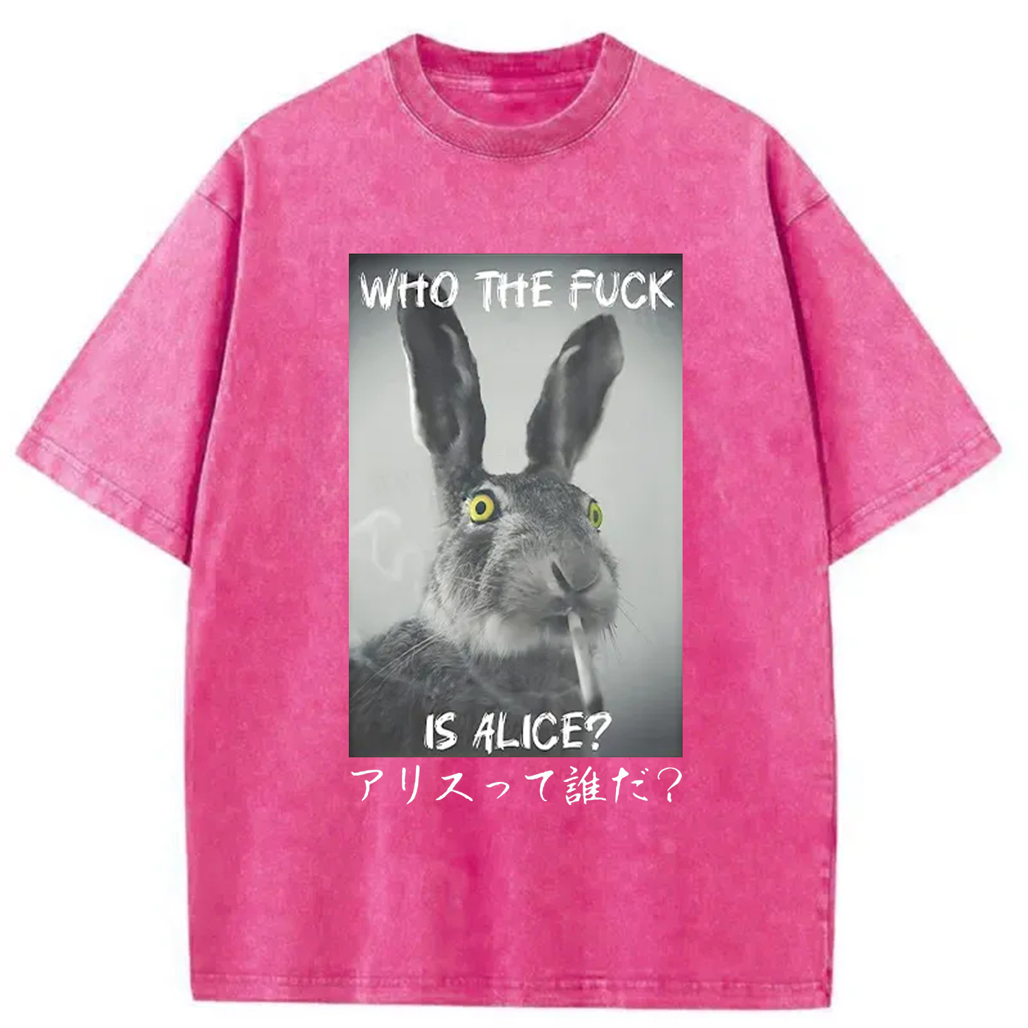 Modecanvas Who Is Alice? Washed T-Shirt