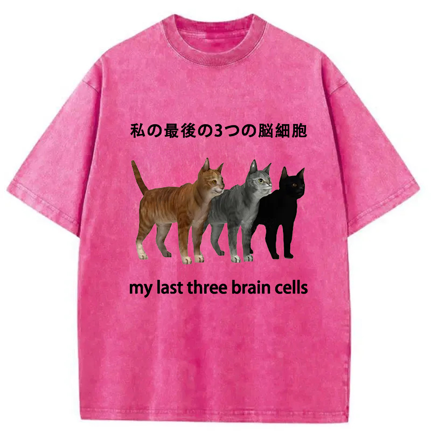 Modecanvas My Last Three Brain Cells Washed T-Shirt