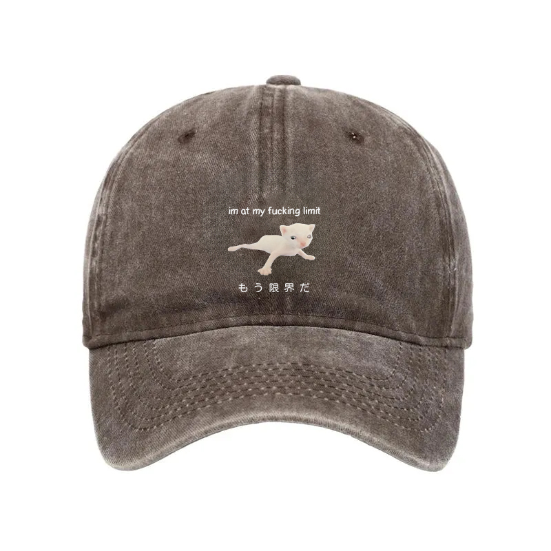 Modecanvas Cat Reaching Its Limit Washed Cap-modecanvas