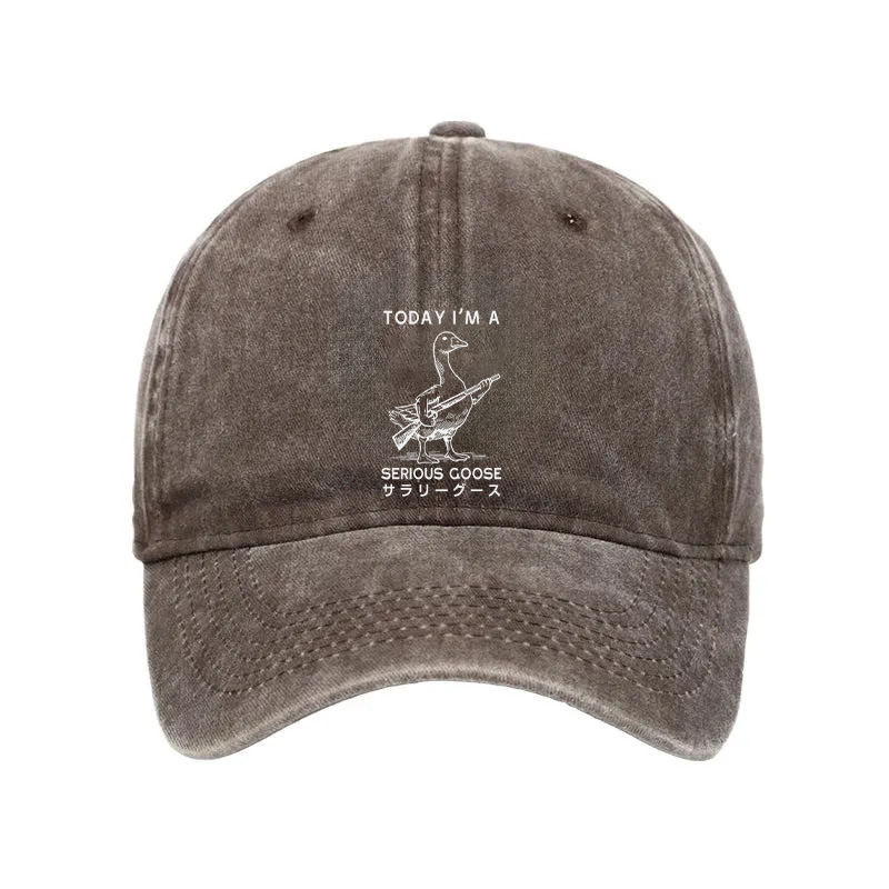 Modecanvas Serious Stupid Goose Washed Cap-modecanvas