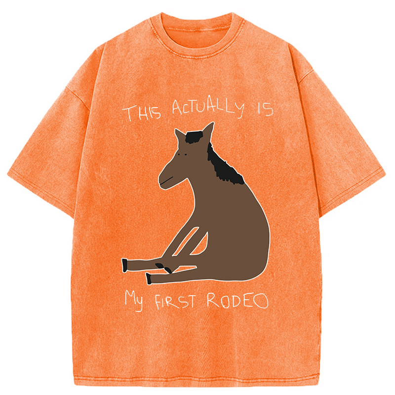 Modecanvas This Actually is My First Rodeo Washed T-Shirt