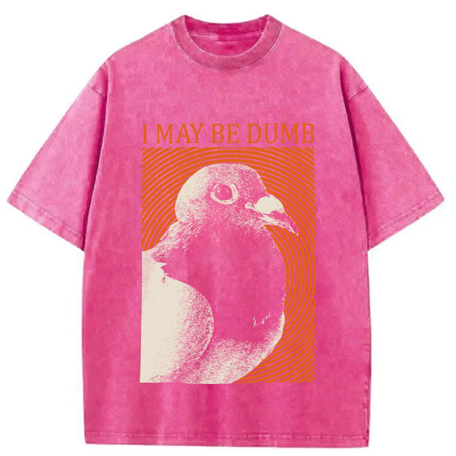Modecanvas I May Be Dumb Washed T-Shirt-modecanvas