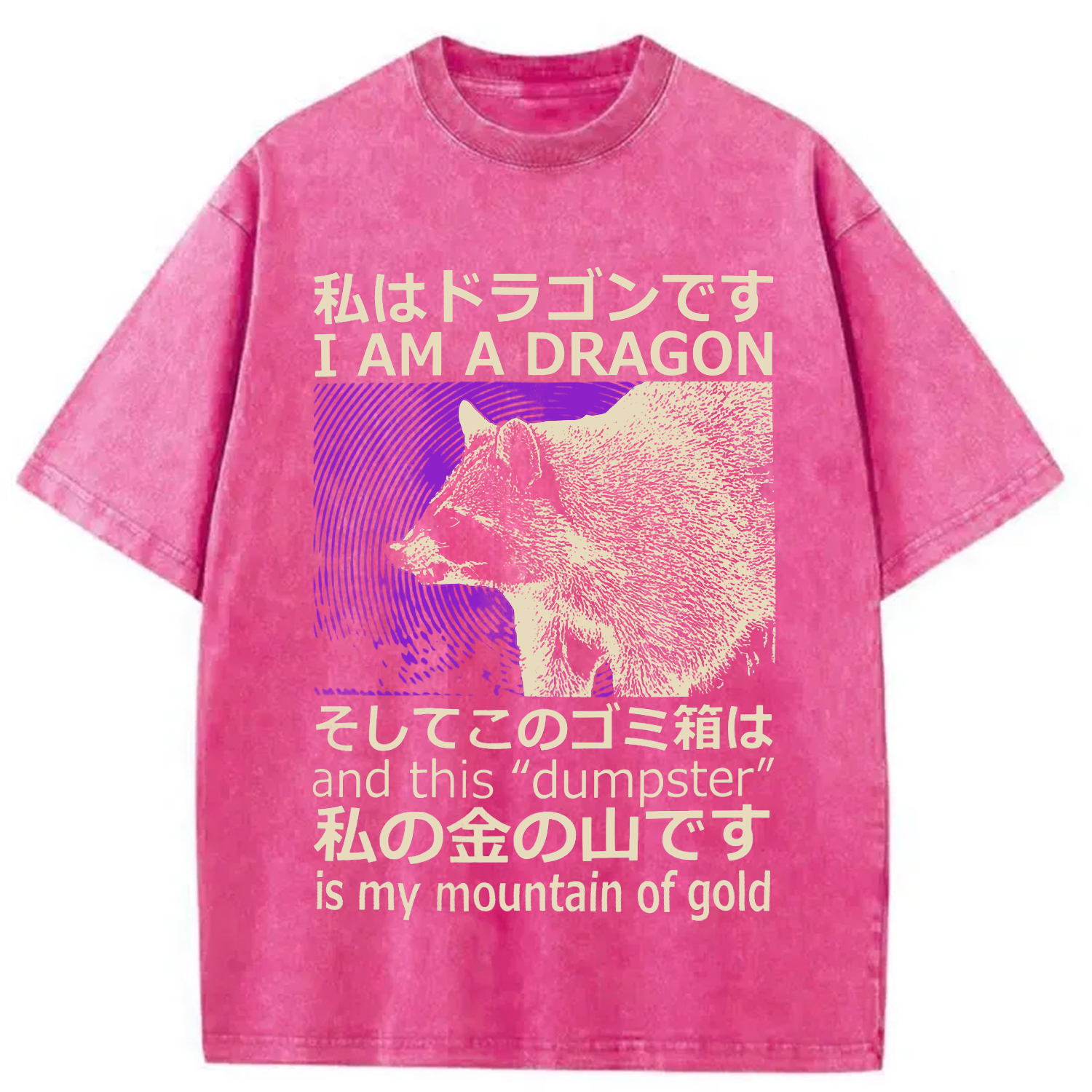 Modecanvas I Am A Dragon and this "Dumpster" is My Mountain of Gold Washed T-Shirt-modecanvas