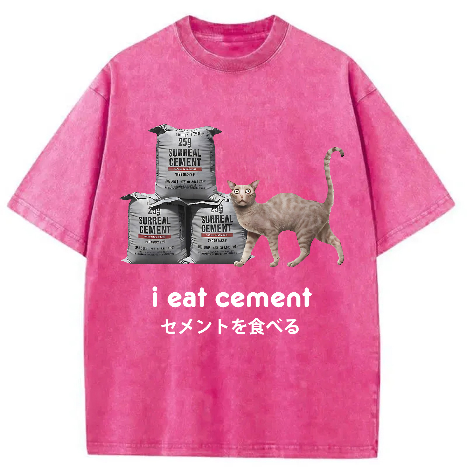 Modecanvas I Eat Cement Cursed Cat Washed T-Shirt