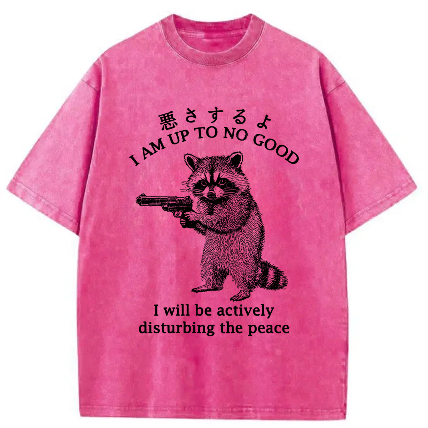 Modecanvas Raccoon Disturbing The Peace Washed T-Shirt