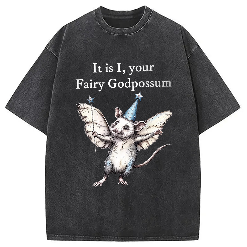 Modecanvas It Is I, Your Fairy Godpossum DTG Printing Washed T-Shirt