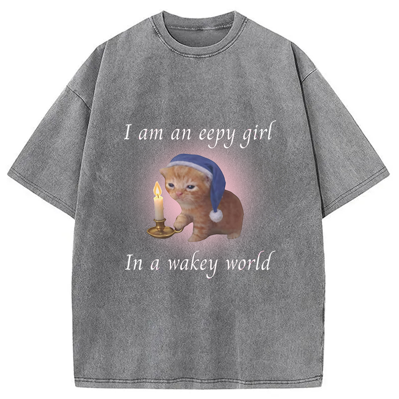 Modecanvas Eepy Girl Cat Meme DTG Printing Washed T-Shirt