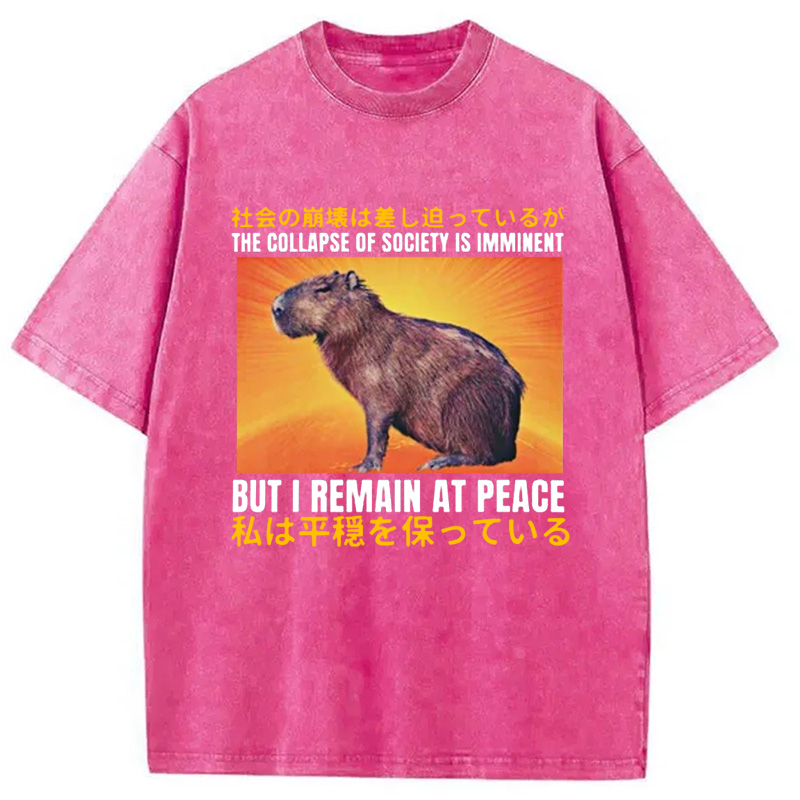 Modecanvas The Collapse of Society is Imminent Washed T-Shirt