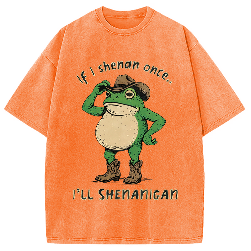 Modecanvas If I Shenan Once Funny Meme Washed T-Shirt-modecanvas
