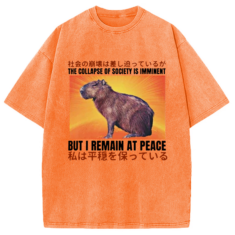 Modecanvas The Collapse of Society is Imminent Washed T-Shirt
