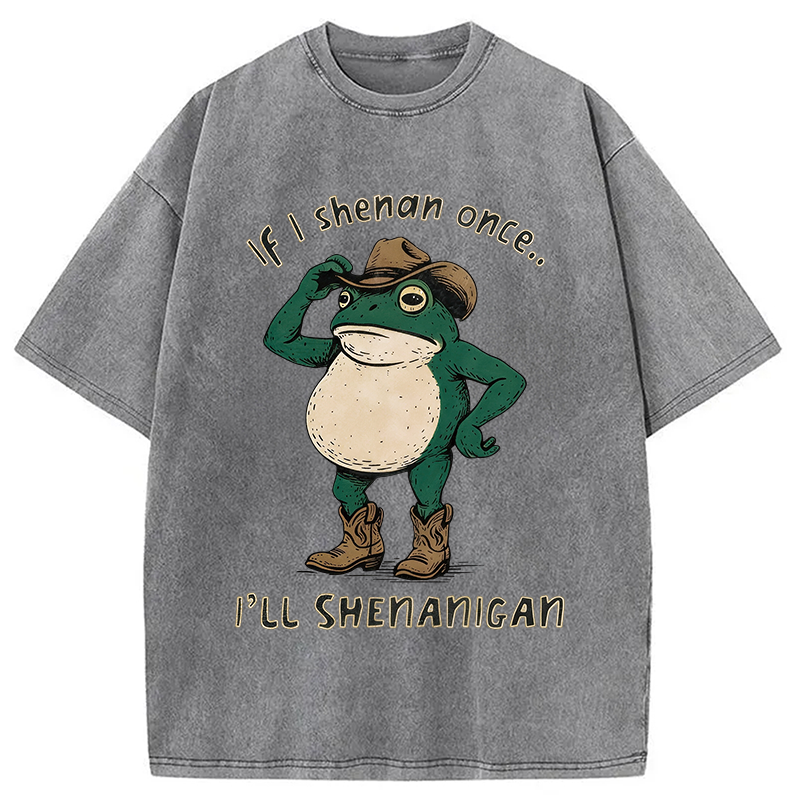 Modecanvas If I Shenan Once Funny Frog DTG Printing Washed T-Shirt