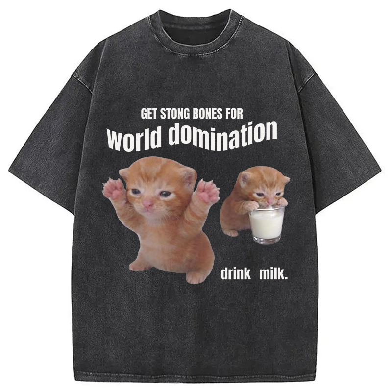 Modecanvas World Domination Cat Meme DTG Printing Washed T-Shirt