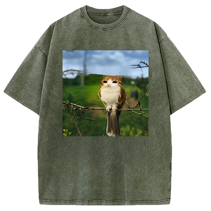 Modecanvas Funny Cat Owl Meme DTG Printing Washed T-Shirt