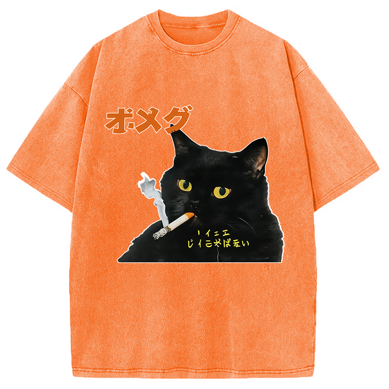 Modecanvas Smoking Cat Japanese DTG Printing Washed T-Shirt