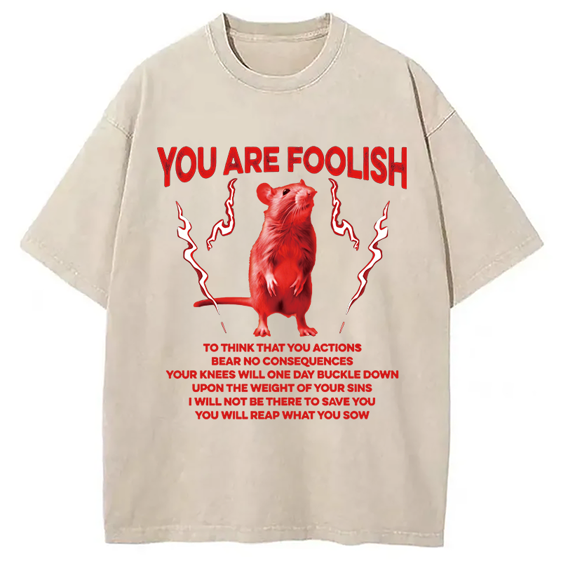 Modecanvas You Are Foolish Rat DTG Printing Washed T-Shirt