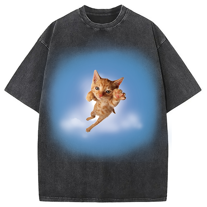 Modecanvas Pounce? More Like flounce DTG Printing Washed T-Shirt