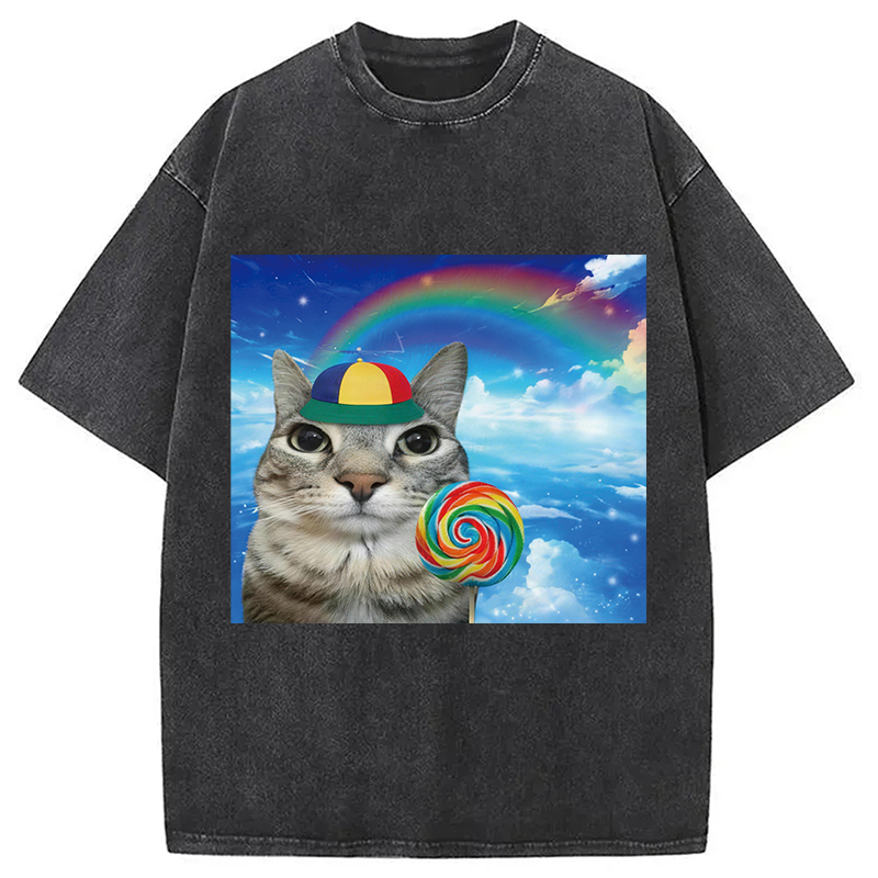 Modecanvas Wholesome Rainbow Cat DTG Printing Washed T-Shirt