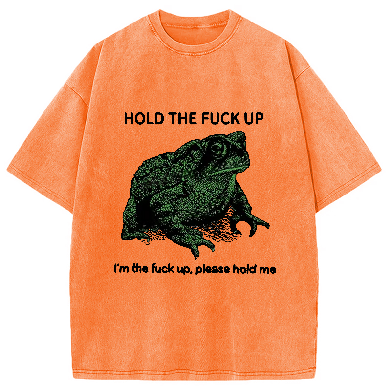 Modecanvas Funny Frog Meme Washed T-Shirt