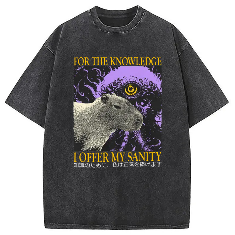 Modecanvas I Offer My Sanity Vintage Japanese Capybara Washed T-Shirt