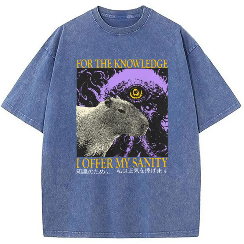 Modecanvas I Offer My Sanity Vintage Japanese Capybara Washed T-Shirt
