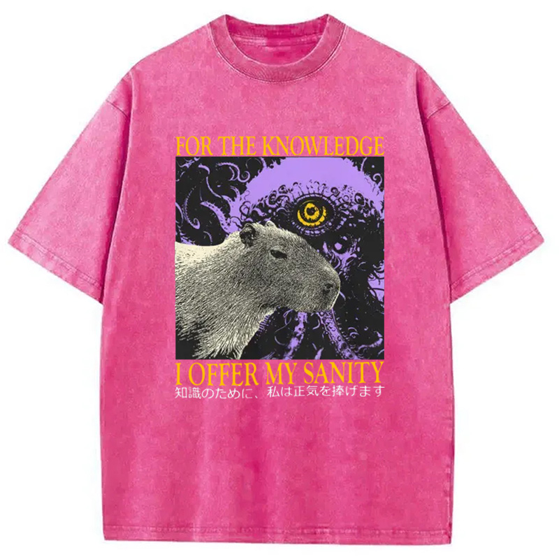 Modecanvas I Offer My Sanity Vintage Japanese Capybara Washed T-Shirt