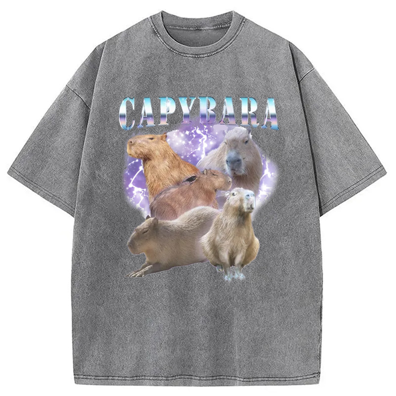 Modecanvas Vintage Capybara Washed T-Shirt