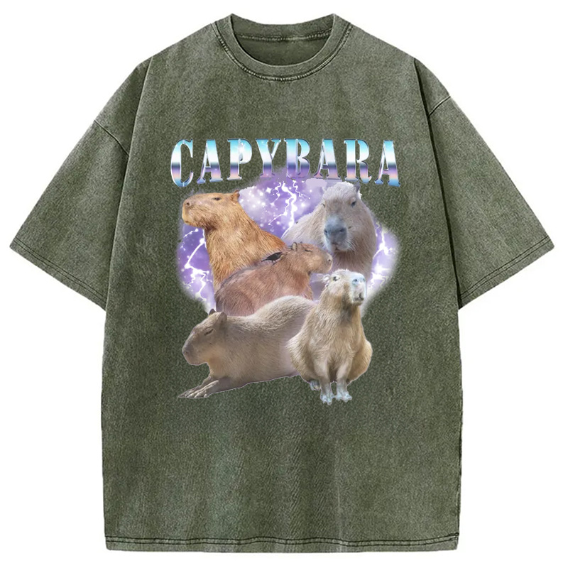 Modecanvas Vintage Capybara Washed T-Shirt