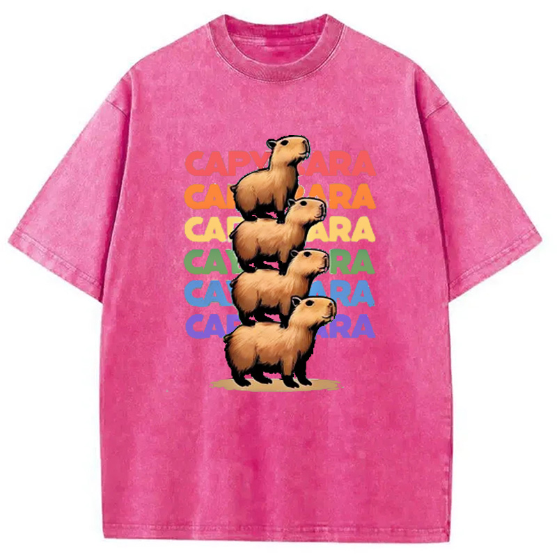 Modecanvas Funny Capybara Washed T-Shirt