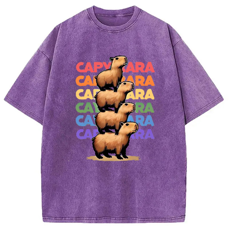 Modecanvas Funny Capybara Washed T-Shirt